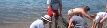 Rangers dressed for water activities show three young visitors how to safely handle creatures caught in a seine net.